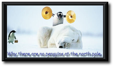 Why there are no penguins at the north pole Why there are no penguins at the north pole