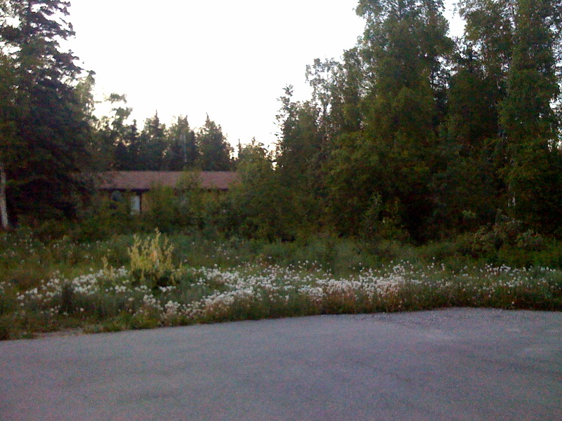 Sunset in Alaska on the summer solstice - June 21, 2010