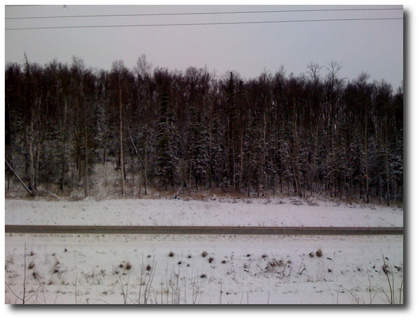 Snow in Wasilla, Alaska, the morning of April 14, 2010