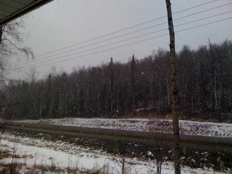 Snow in Wasilla, Alaska, April 23, 2010