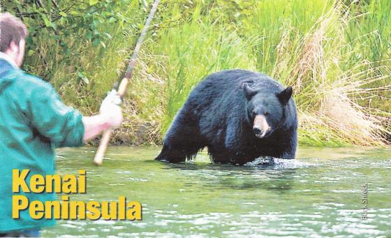 Fishing in Alaska with a black bear