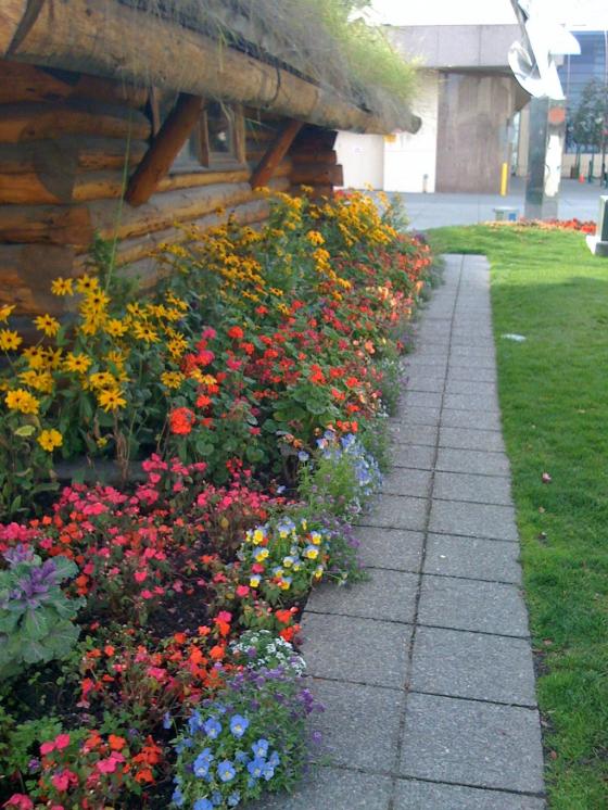 Flowers at the Anchorage Visitor's Center (Anchorage, Alaska)