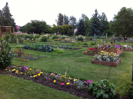 The garden at the Palmer, Alaska Visitor's Center