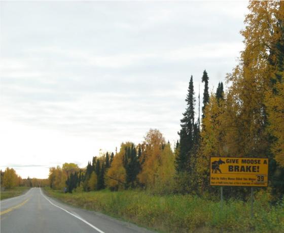 Give Moose a Brake sign
