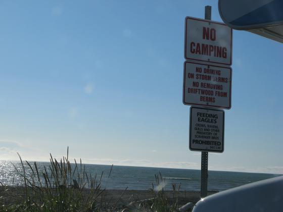 Signs in Homer, Alaska