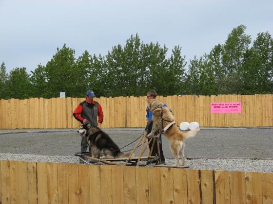 Seavey sled dog show in Anchorage, Photo 2