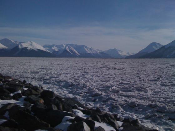 Ice in Turnagain Arm, Seward Highway, Alaska
