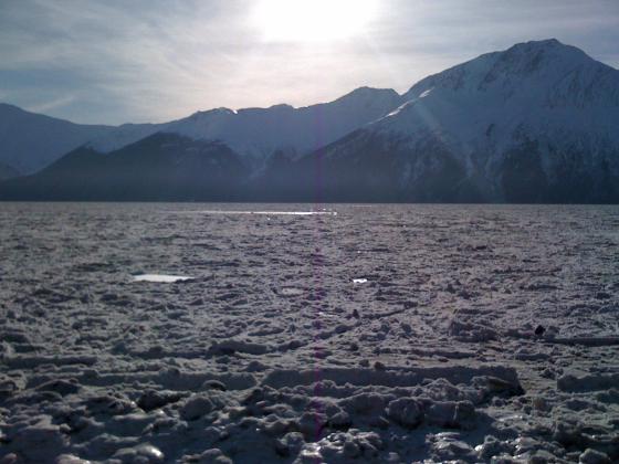 Ice in Turnagain Arm, Seward Highway, Alaska (2)