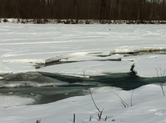 Talkeetna rivers breakup (Talkeetna, Alaska)