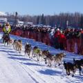 2011 Iditarod Race - Team 4 sled dogs and musher