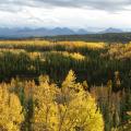 Denali National Park in September