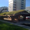 Grass roof on the Anchorage Visitor's Center