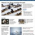 Iditarod sled dogs, 2013 race