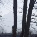Whiteout in Palmer, Alaska (high winds)