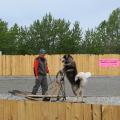 Seavey sled dog show in Anchorage, Photo 1