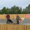 Seavey sled dog show in Anchorage, Photo 2