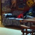 Talkeetna - Dog on couch at Latitude 62