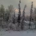 Wasilla, Alaska - Frozen tundra