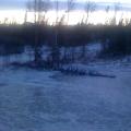 Wasilla, Alaska weather - December, 2010 - High winds land tree