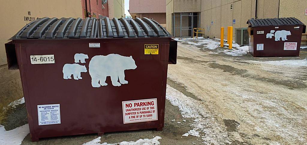 Images of bears on trash dumpsters, Anchorage, Alaska.