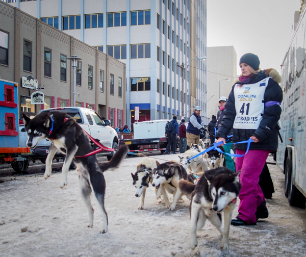 Vroom, vroom (Iditarod sled dogs getting warmed up).