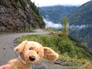 hyder-road-brownie Brownie, the third-grade mascot, in Hyder, Alaska