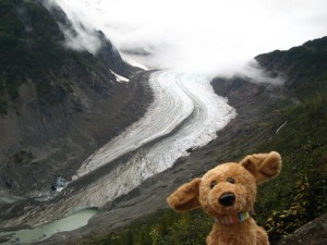 Brownie in Hyder, Alaska, with a glacier behind him